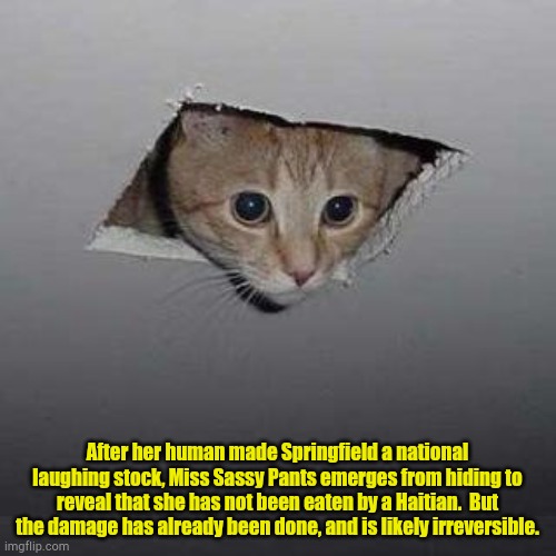 Stupid humans! | After her human made Springfield a national laughing stock, Miss Sassy Pants emerges from hiding to reveal that she has not been eaten by a Haitian.  But the damage has already been done, and is likely irreversible. | image tagged in memes,ceiling cat | made w/ Imgflip meme maker