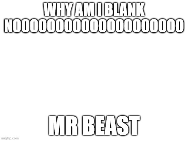 MR BEAST | WHY AM I BLANK NOOOOOOOOOOOOOOOOOOOO; MR BEAST | image tagged in mr beast,blank template | made w/ Imgflip meme maker