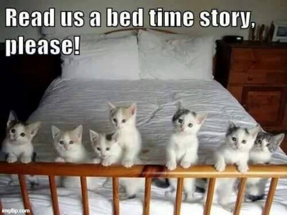 Read us a Story ! | image tagged in sweet dreams | made w/ Imgflip meme maker