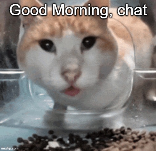 Mr Shock stare | Good Morning, chat | image tagged in mr shock stare | made w/ Imgflip meme maker