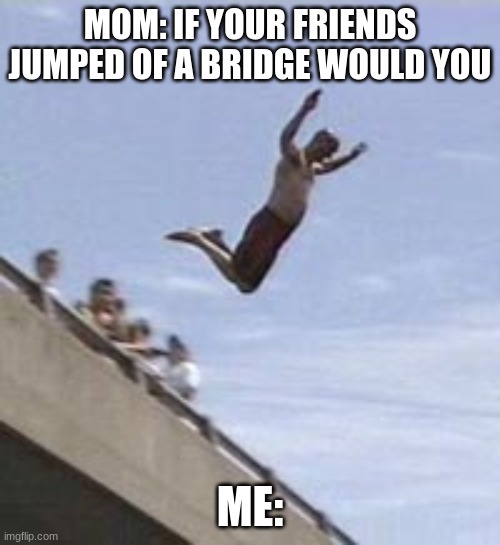 Moms be like | MOM: IF YOUR FRIENDS JUMPED OF A BRIDGE WOULD YOU; ME: | image tagged in guy jumps off bridge | made w/ Imgflip meme maker