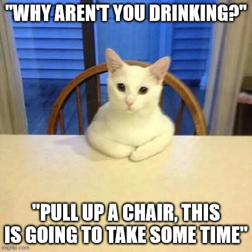 Not drinking? | "WHY AREN'T YOU DRINKING?"; "PULL UP A CHAIR, THIS IS GOING TO TAKE SOME TIME" | image tagged in cat at table listening | made w/ Imgflip meme maker