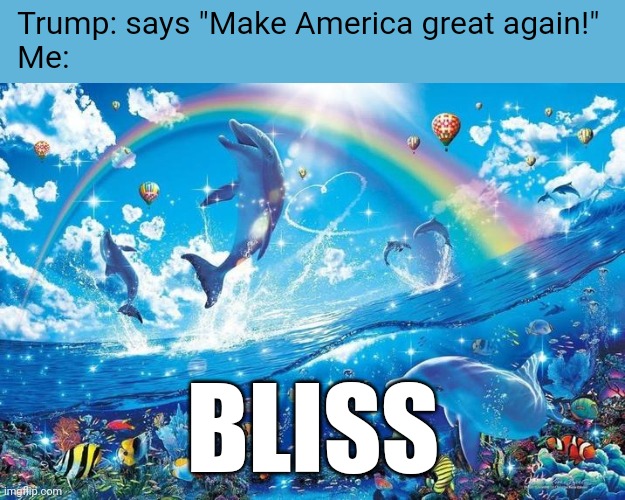 Bliss | Trump: says "Make America great again!"
Me:; BLISS | image tagged in happy dolphin rainbow,trump,maga | made w/ Imgflip meme maker