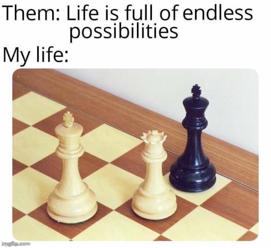 So… do I escape the board? | image tagged in memes,chess,funny,life,owu | made w/ Imgflip meme maker