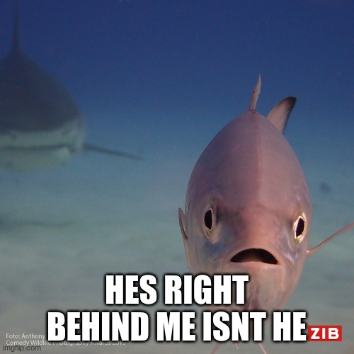 He is right behind me? | HES RIGHT BEHIND ME ISNT HE | image tagged in he is right behind me | made w/ Imgflip meme maker