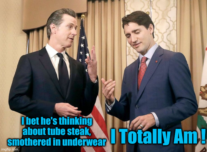 Buddies | I bet he's thinking about tube steak, smothered in underwear; I Totally Am ! | image tagged in gavin newsom and justin trudeau,political meme,politics,funny memes,funny | made w/ Imgflip meme maker