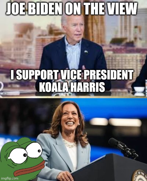 joe biden meme | JOE BIDEN ON THE VIEW; I SUPPORT VICE PRESIDENT 
KOALA HARRIS | image tagged in kamala harris | made w/ Imgflip meme maker