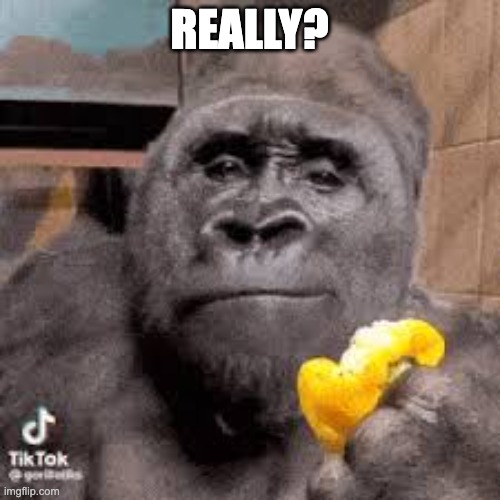 condescending monke | REALLY? | image tagged in condescending monke | made w/ Imgflip meme maker