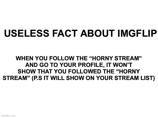 I think, I dunno | WHEN YOU FOLLOW THE “HORNY STREAM” AND GO TO YOUR PROFILE, IT WON’T SHOW THAT YOU FOLLOWED THE “HORNY STREAM” (P.S IT WILL SHOW ON YOUR STREAM LIST); USELESS FACT ABOUT IMGFLIP | made w/ Imgflip meme maker