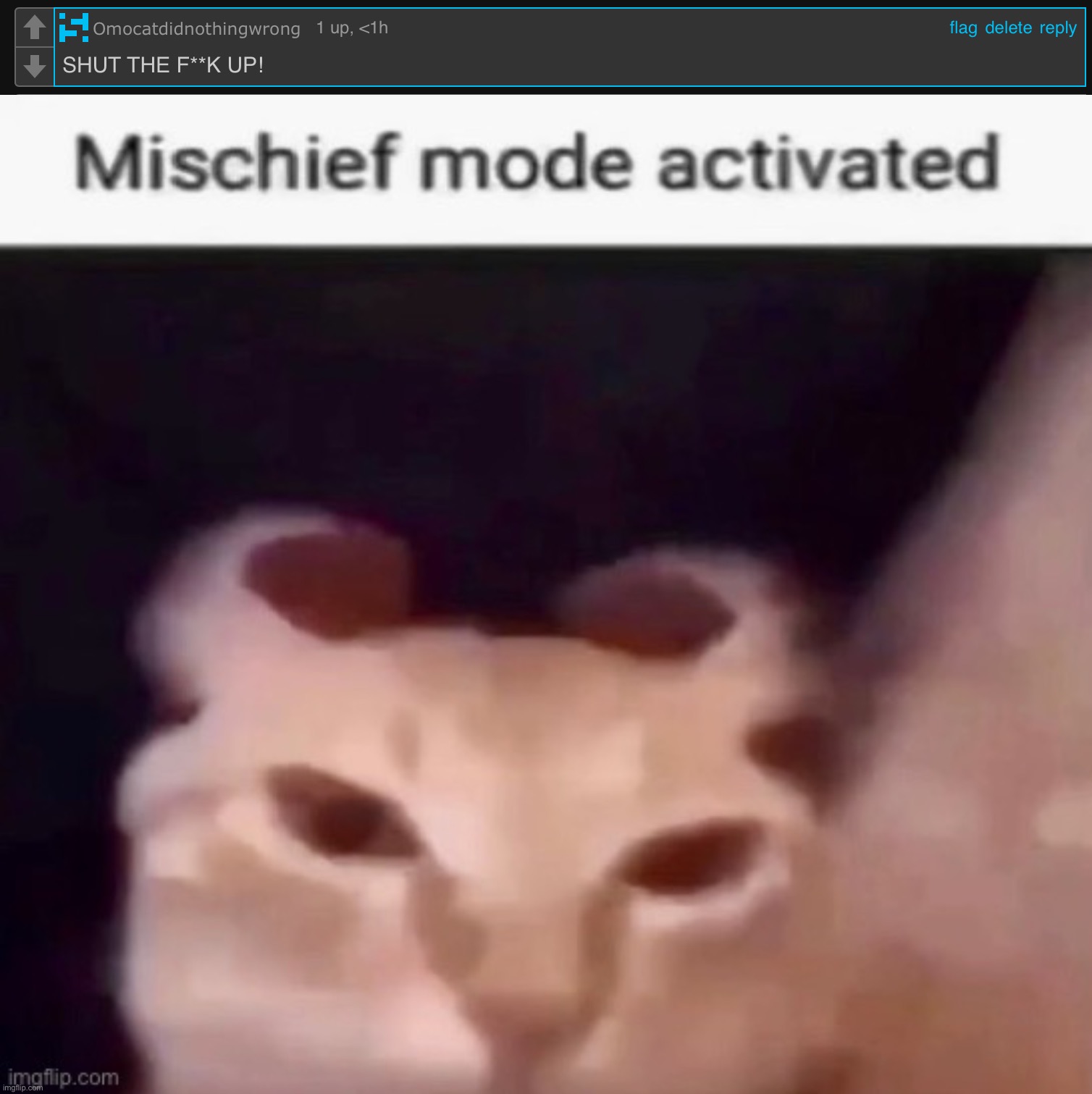 Ok | image tagged in mischief mode activated | made w/ Imgflip meme maker