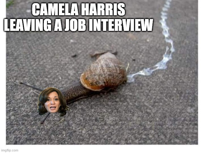 climbing the ladder | CAMELA HARRIS LEAVING A JOB INTERVIEW | image tagged in kamala harris,stupid liberals,funny memes,the truth,political humor,donald trump approves | made w/ Imgflip meme maker