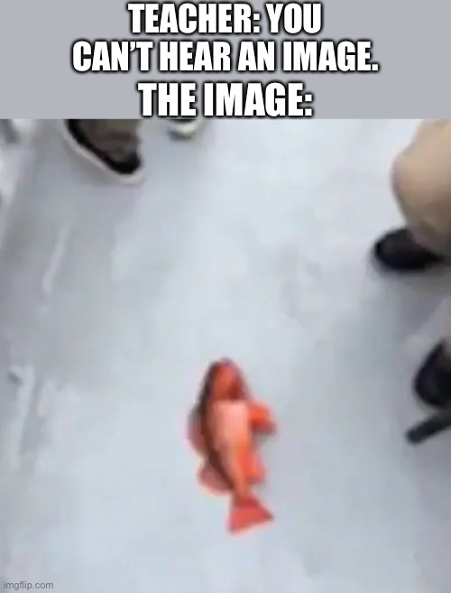 Fish | TEACHER: YOU CAN’T HEAR AN IMAGE. THE IMAGE: | image tagged in fish,funny | made w/ Imgflip meme maker