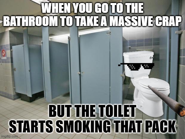 The toilet moment | WHEN YOU GO TO THE BATHROOM TO TAKE A MASSIVE CRAP; BUT THE TOILET STARTS SMOKING THAT PACK | image tagged in bathroom stall | made w/ Imgflip meme maker