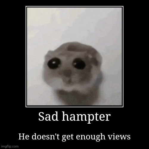 Sad hampter | He doesn't get enough views | image tagged in funny,demotivationals,hampter | made w/ Imgflip demotivational maker