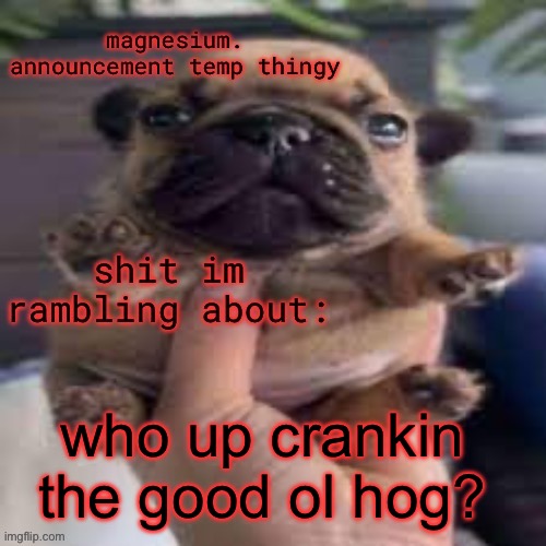 pug temp | who up crankin the good ol hog? | image tagged in pug temp | made w/ Imgflip meme maker