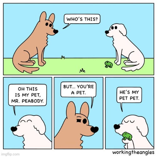 Mr. Peabody | image tagged in dogs,dog,frog,pet,comics,comics/cartoons | made w/ Imgflip meme maker