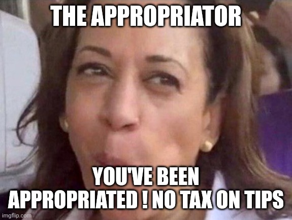 Kamala Harris | THE APPROPRIATOR; YOU'VE BEEN APPROPRIATED ! NO TAX ON TIPS | image tagged in kamala harris | made w/ Imgflip meme maker