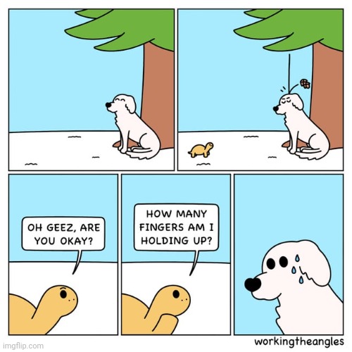 Fingers | image tagged in fingers,turtle,turtles,comics,comics/cartoons,dog | made w/ Imgflip meme maker