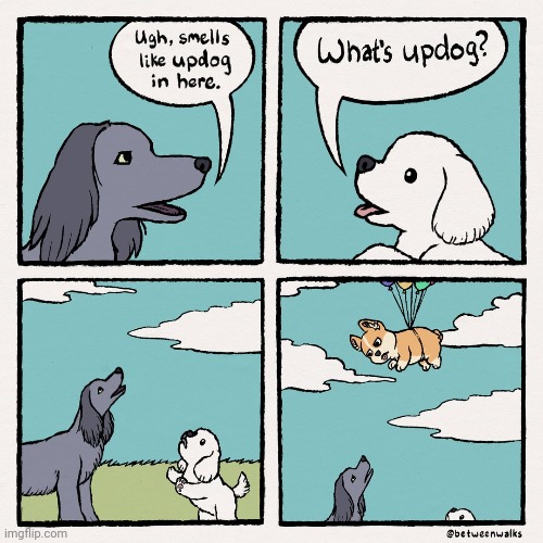 Updog | image tagged in updog,dogs,dog,balloon,comics,comics/cartoons | made w/ Imgflip meme maker