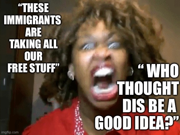 Immigrants | “THESE IMMIGRANTS 
ARE TAKING ALL
OUR FREE STUFF”; “ WHO THOUGHT DIS BE A 
GOOD IDEA?” | image tagged in screaming mad black woman,memes,funny,gifs | made w/ Imgflip meme maker