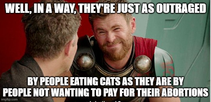 Thor is he though | WELL, IN A WAY, THEY'RE JUST AS OUTRAGED BY PEOPLE EATING CATS AS THEY ARE BY PEOPLE NOT WANTING TO PAY FOR THEIR ABORTIONS | image tagged in thor is he though | made w/ Imgflip meme maker