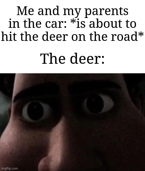 Deer be like that tho | Me and my parents in the car: *is about to hit the deer on the road*; The deer: | image tagged in titan stare,memes,funny,deer,why are you reading the tags,oh wow are you actually reading these tags | made w/ Imgflip meme maker