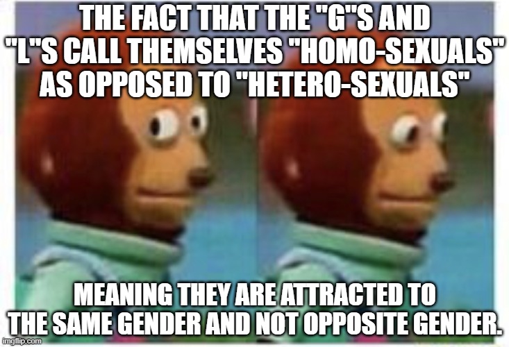 side eye teddy | THE FACT THAT THE "G"S AND "L"S CALL THEMSELVES "HOMO-SEXUALS" AS OPPOSED TO "HETERO-SEXUALS" MEANING THEY ARE ATTRACTED TO THE SAME GENDER  | image tagged in side eye teddy | made w/ Imgflip meme maker