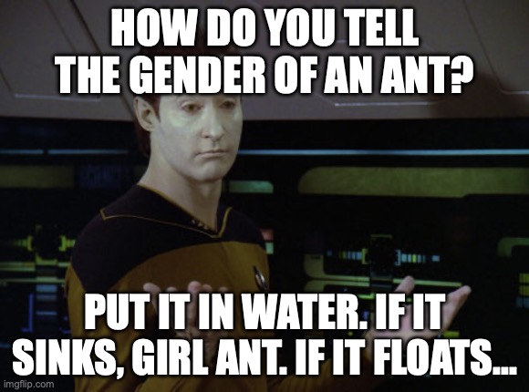 Data Tells Ant Joke | HOW DO YOU TELL THE GENDER OF AN ANT? PUT IT IN WATER. IF IT SINKS, GIRL ANT. IF IT FLOATS... | image tagged in shrug data | made w/ Imgflip meme maker