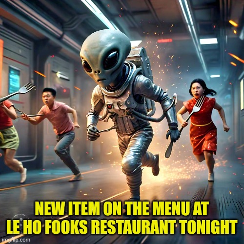 Chinese Food | NEW ITEM ON THE MENU AT LE HO FOOKS RESTAURANT TONIGHT | image tagged in chinese food | made w/ Imgflip meme maker