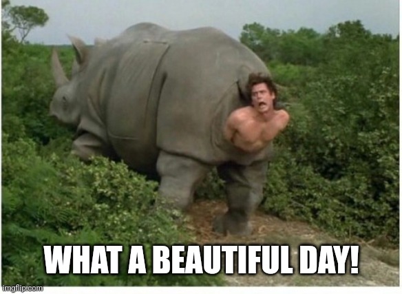 Hot Rhino | WHAT A BEAUTIFUL DAY! | image tagged in hot rhino | made w/ Imgflip meme maker