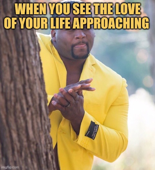 Black guy hiding behind tree | WHEN YOU SEE THE LOVE OF YOUR LIFE APPROACHING | image tagged in black guy hiding behind tree | made w/ Imgflip meme maker