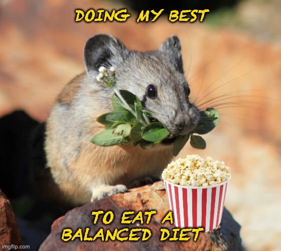 snack time! | DOING MY BEST; TO EAT A BALANCED DIET | image tagged in mouse with clover,rodents,cute,popcorn,snacks | made w/ Imgflip meme maker