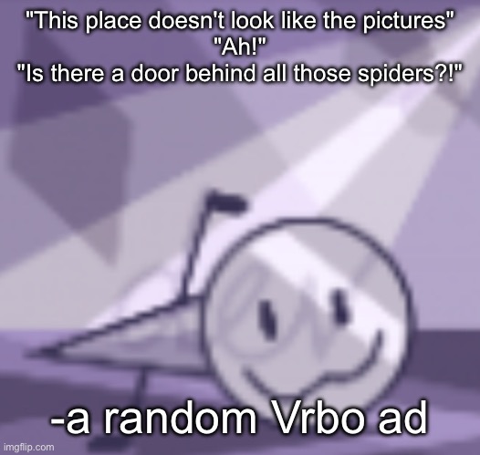 goober v2 | "This place doesn't look like the pictures"
"Ah!"
"Is there a door behind all those spiders?!"; -a random Vrbo ad | image tagged in goober v2 | made w/ Imgflip meme maker