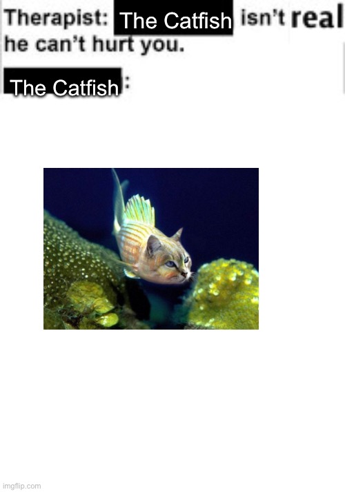 Shitpost | The Catfish; The Catfish | image tagged in it cant hurt you,shit | made w/ Imgflip meme maker