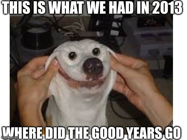 The good'ol days | THIS IS WHAT WE HAD IN 2013; WHERE DID THE GOOD YEARS GO | image tagged in oh wow are you actually reading these tags | made w/ Imgflip meme maker