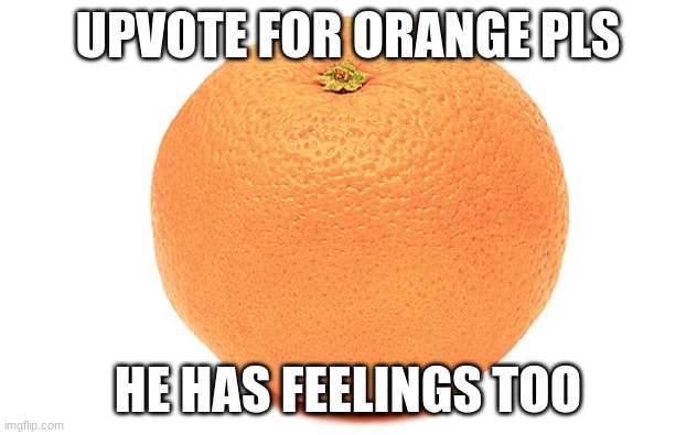 orange | UPVOTE FOR ORANGE PLS; HE HAS FEELINGS TOO | image tagged in orange | made w/ Imgflip meme maker