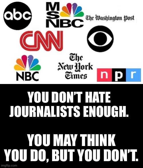 They are a disgrace to honest journalism… | YOU DON’T HATE JOURNALISTS ENOUGH. YOU MAY THINK YOU DO, BUT YOU DON’T. | image tagged in lib mainstream media,they are a disgrace to honest journalism | made w/ Imgflip meme maker