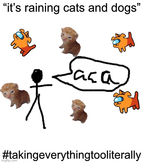 taking everything too literally | “it’s raining cats and dogs”; #takingeverythingtooliterally | image tagged in lol | made w/ Imgflip meme maker