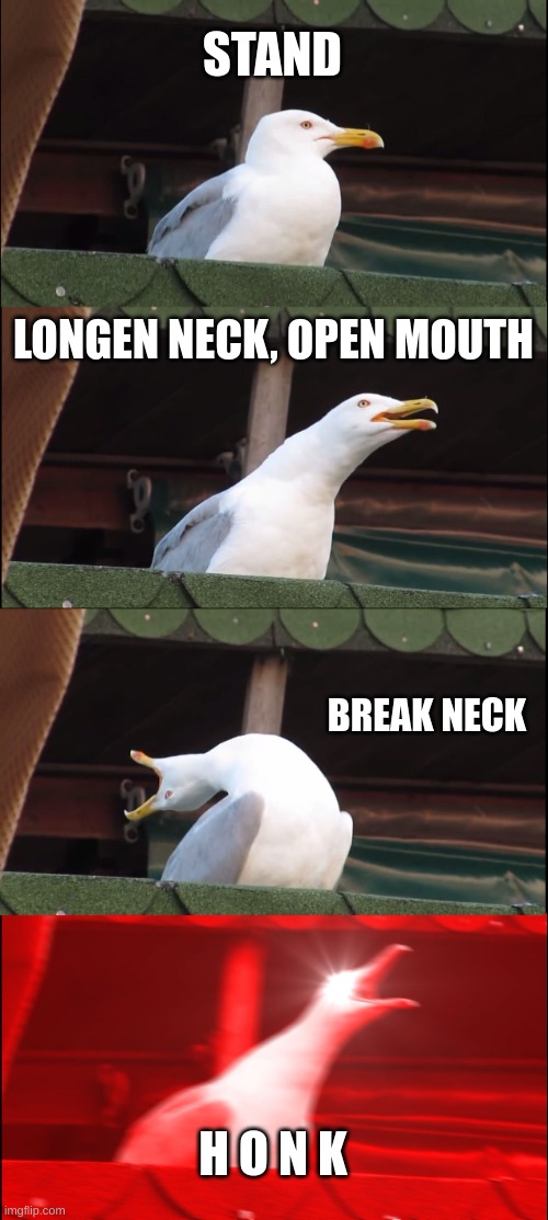 Inhaling Seagull Meme | STAND; LONGEN NECK, OPEN MOUTH; BREAK NECK; H O N K | image tagged in memes,inhaling seagull | made w/ Imgflip meme maker