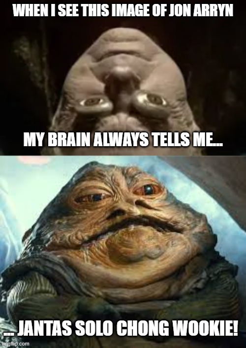 Jabba Arryn | WHEN I SEE THIS IMAGE OF JON ARRYN; MY BRAIN ALWAYS TELLS ME... ... JANTAS SOLO CHONG WOOKIE! | image tagged in game of thrones,star wars,jabba the hutt | made w/ Imgflip meme maker