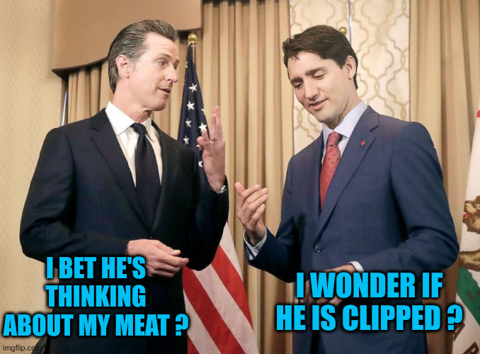 Gavin Newsom and Justin Trudeau | I BET HE'S THINKING ABOUT MY MEAT ? I WONDER IF HE IS CLIPPED ? | image tagged in gavin newsom and justin trudeau | made w/ Imgflip meme maker