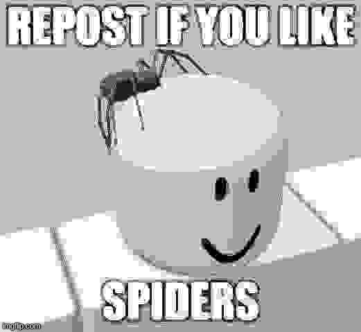 image tagged in i actually like spiders | made w/ Imgflip meme maker