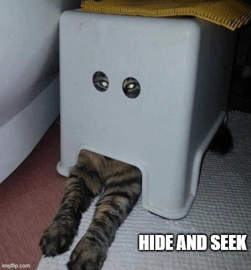 memes by Brad - My cat like to play hide and seek | HIDE AND SEEK | image tagged in humor,cats,games,kitten,funny cat memes,funny | made w/ Imgflip meme maker