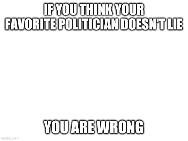 Politicians lie | IF YOU THINK YOUR FAVORITE POLITICIAN DOESN'T LIE; YOU ARE WRONG | image tagged in politicians,politicians suck | made w/ Imgflip meme maker