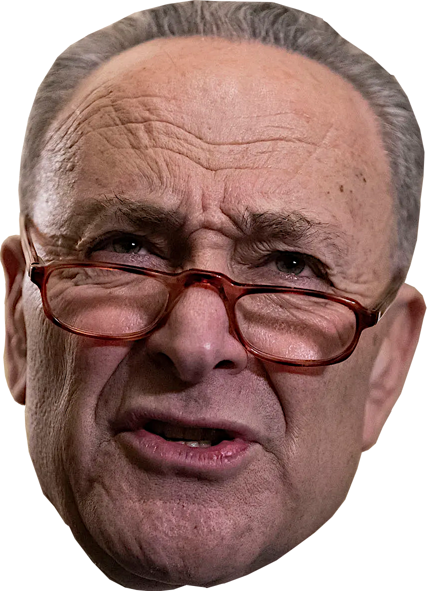 CHUCK SCHUMER - HEAD Blank Meme Template