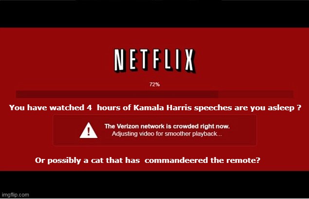 Probably a stolen password to boot | You have watched 4  hours of Kamala Harris speeches are you asleep ? Or possibly a cat that has  commandeered the remote? | image tagged in netflix kamala warning meme | made w/ Imgflip meme maker