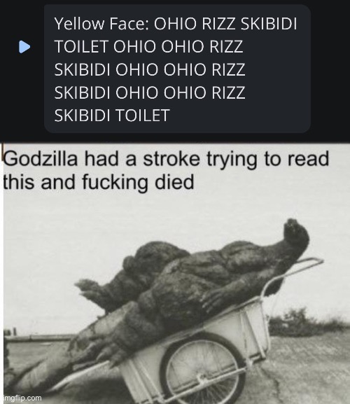 He's got that skibidi rizz  | image tagged in godzilla | made w/ Imgflip meme maker