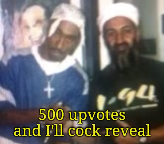 gang | 500 upvotes and I'll cock reveal | image tagged in gang | made w/ Imgflip meme maker