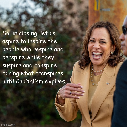 When you ask for an answer and you get an entire word salad | image tagged in kamala | made w/ Imgflip meme maker