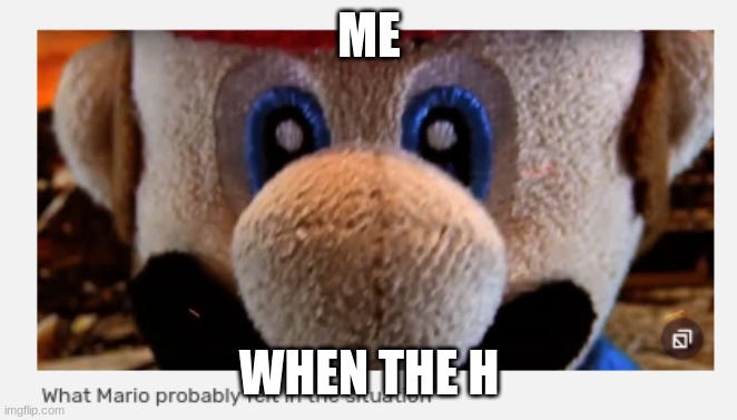 Mario's Tiktok Reaction | ME; WHEN THE H | image tagged in mario's tiktok reaction | made w/ Imgflip meme maker